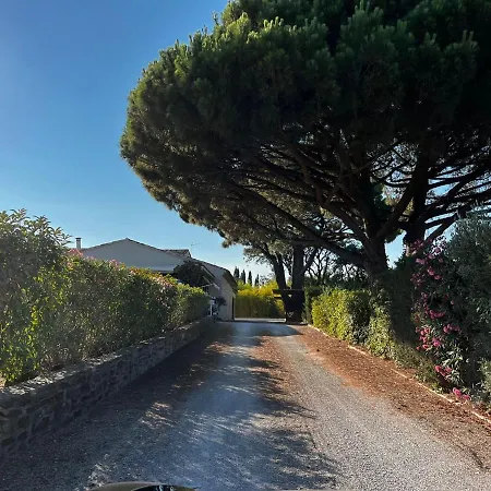 Alba Oda ve Kahvaltı