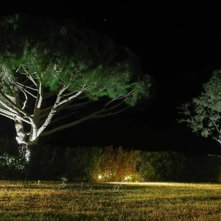 Alba Oda ve Kahvaltı Saint-Tropez