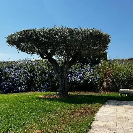 Alba Alojamento de Acomodação e Pequeno-almoço Saint-Tropez