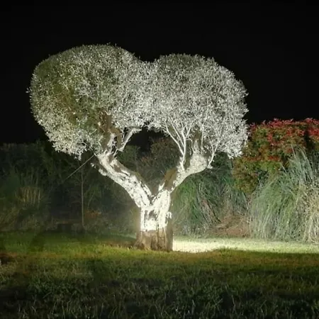 Bed & Breakfast Alba