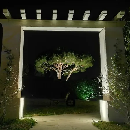 Alba סן טרופז