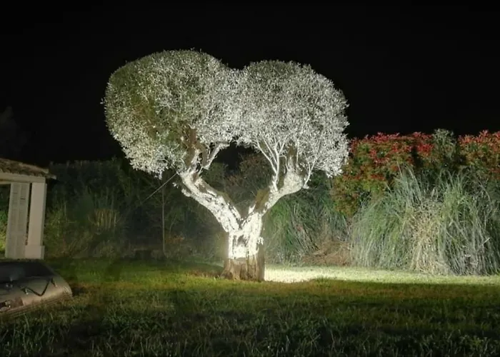 לינה וארוחת בוקר Alba